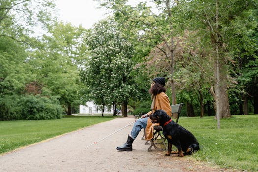 service dog training outdoors
