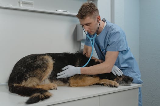 service dog in a properly sized crate