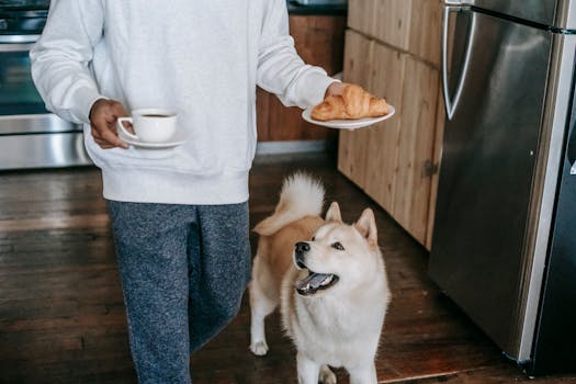 dog helping owner at home