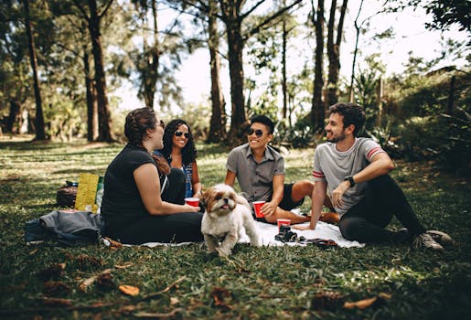 dog practicing socialization in a park