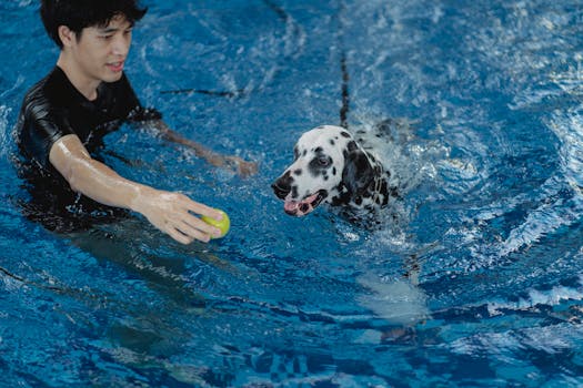 happy dog trainer with their service dog