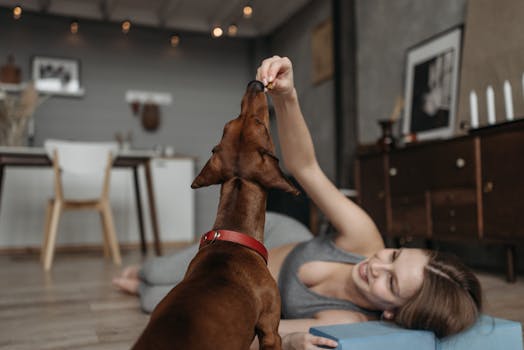 person preparing for dog training