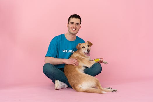 service dog assisting a person