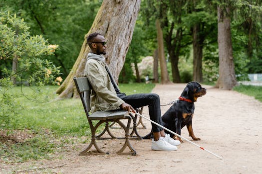 a well-behaved service dog sitting